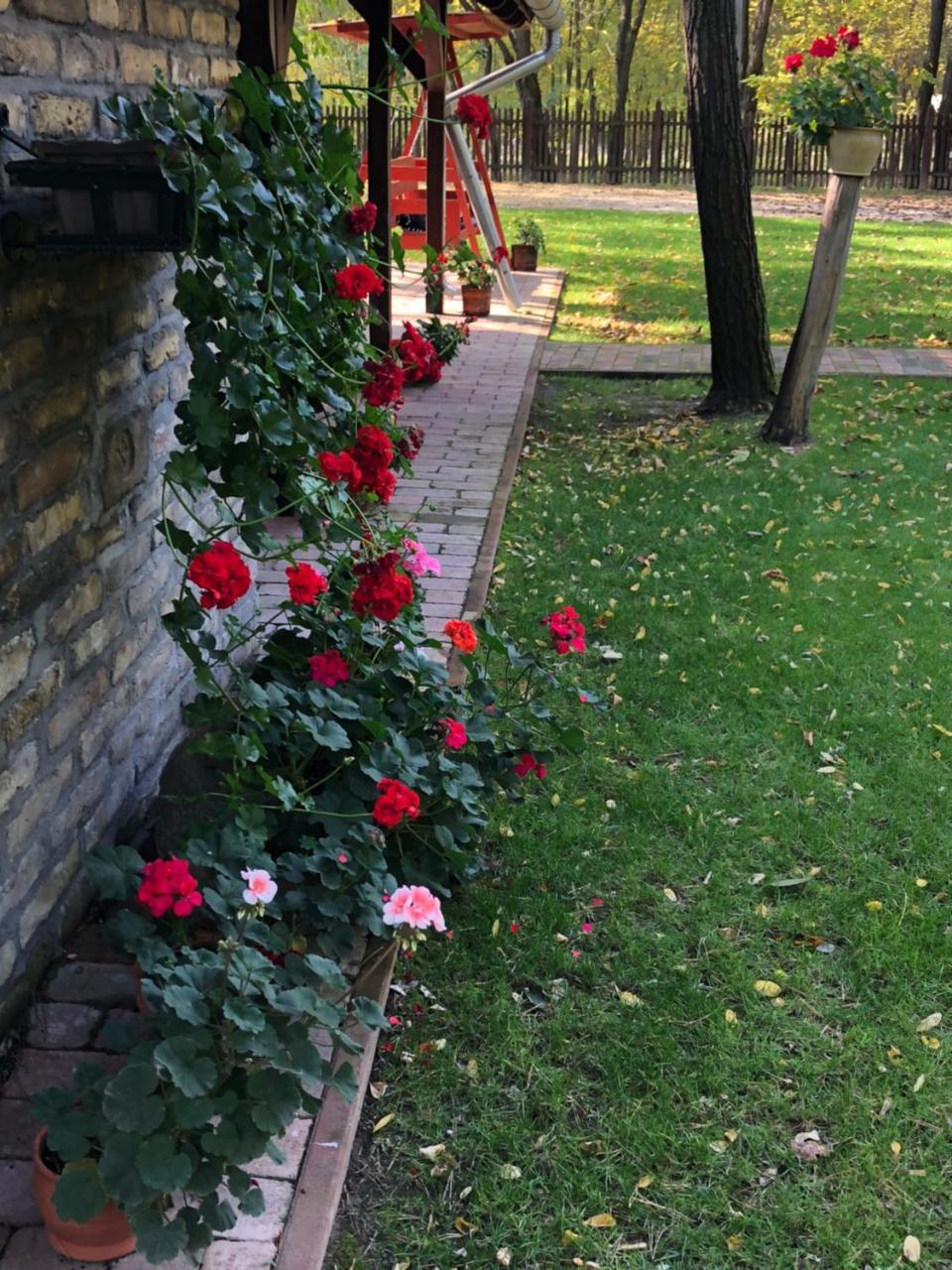 Vándor tanya Agasegyhaza Exterior foto